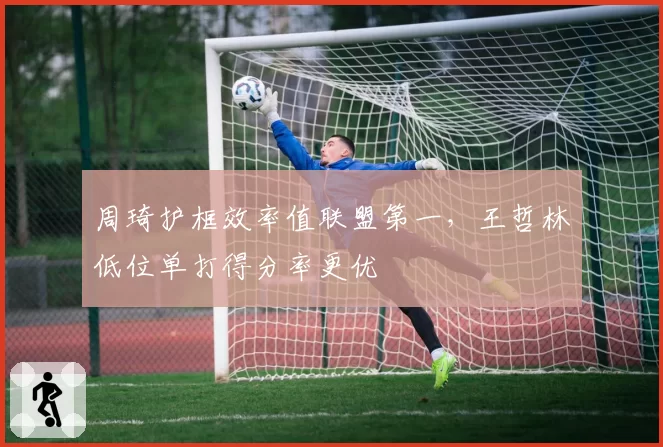 周琦护框效率值联盟第一，王哲林低位单打得分率更优