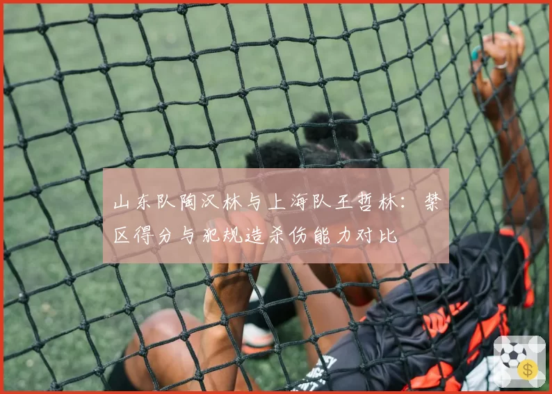 山东队陶汉林与上海队王哲林:禁区得分与犯规造杀伤能力对比
