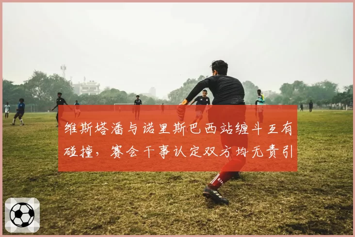 维斯塔潘与诺里斯巴西站缠斗互有碰撞，赛会干事认定双方均无责引争议