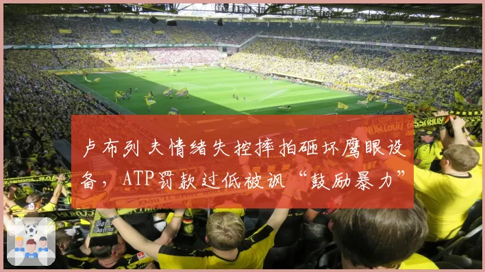 卢布列夫情绪失控摔拍砸坏鹰眼设备,ATP罚款过低被讽“鼓励暴力”