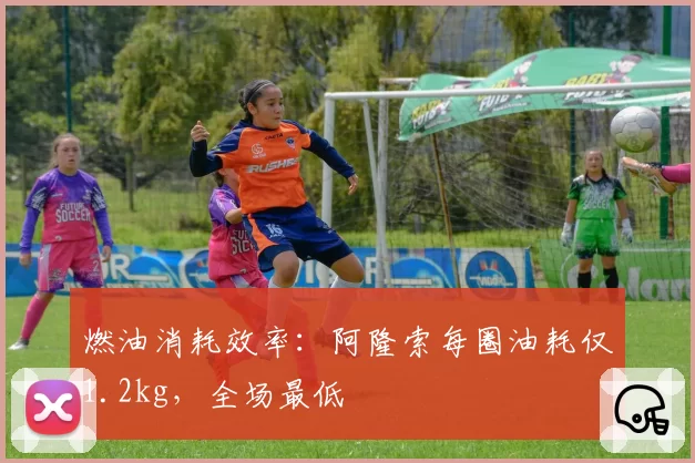 燃油消耗效率:阿隆索每圈油耗仅1.2kg,全场最低